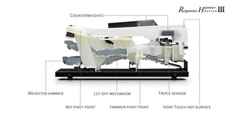 Đàn Piano Điện Kawai CN27 - Qua Sử Dụng