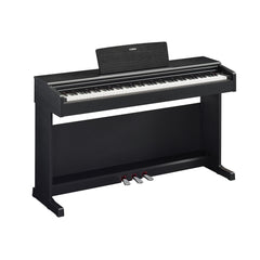 Đàn Piano Điện Yamaha YDP145