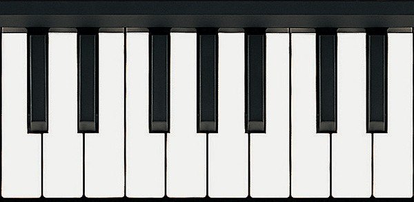 Đàn Synthesizer Korg microKORG XL+ - cận cảnh chi tiết