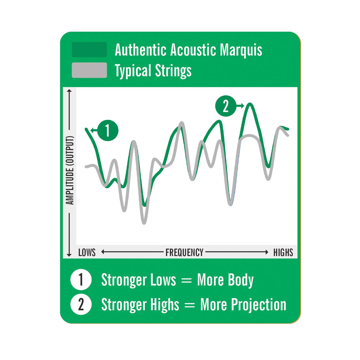 Biểu đồ của Martin: Authentic Acoustic Marquis so với dây thông thường