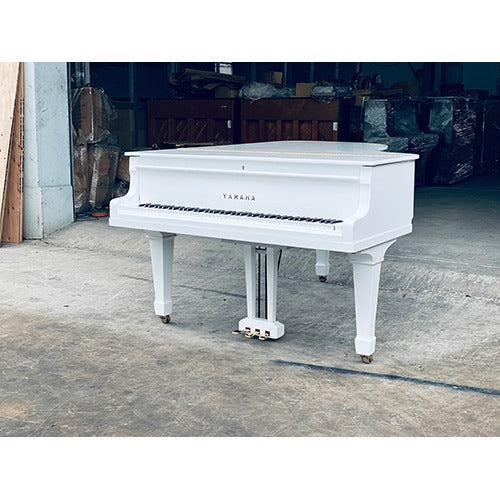 Đàn Grand Piano Yamaha G5WH