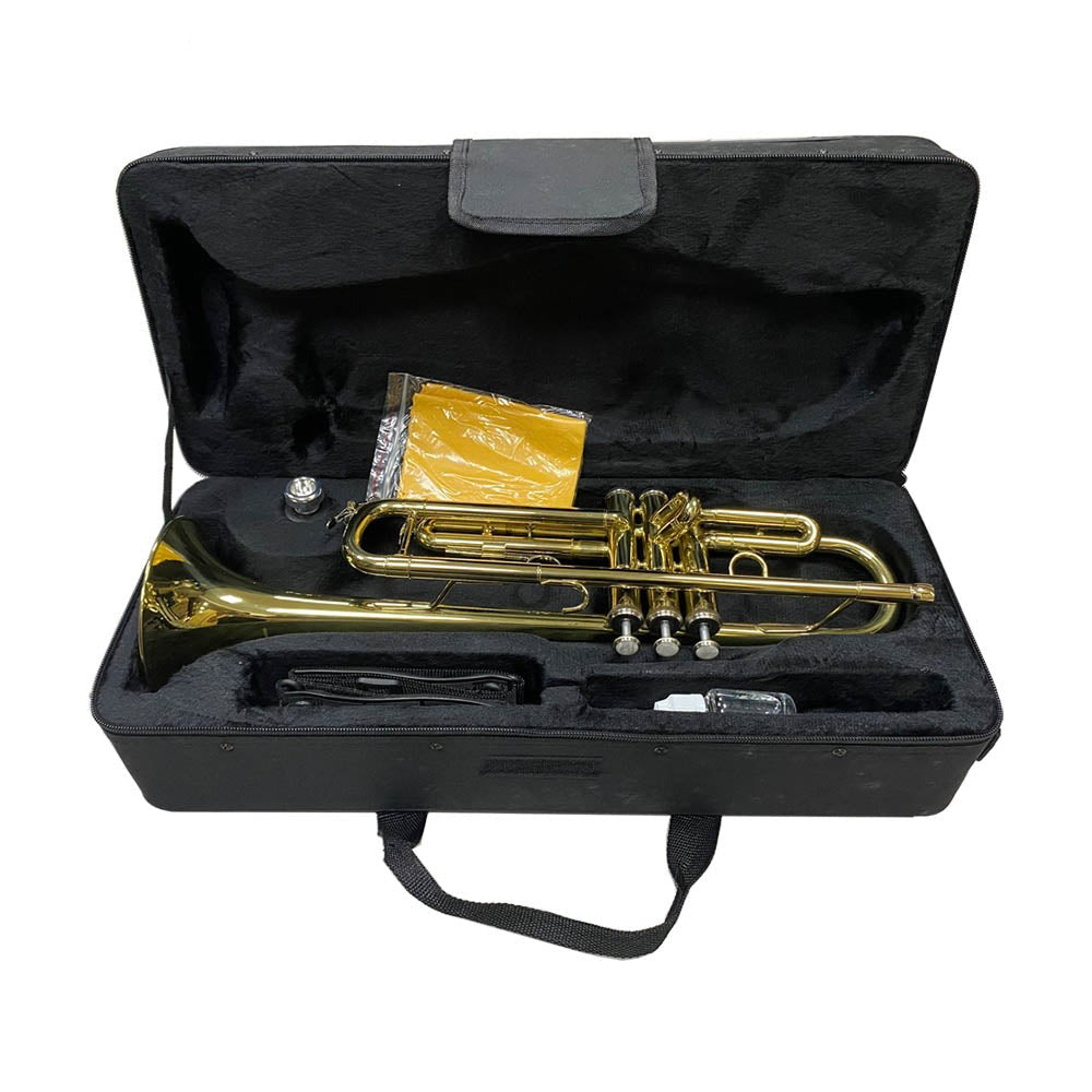 Kèn Trumpet TR100