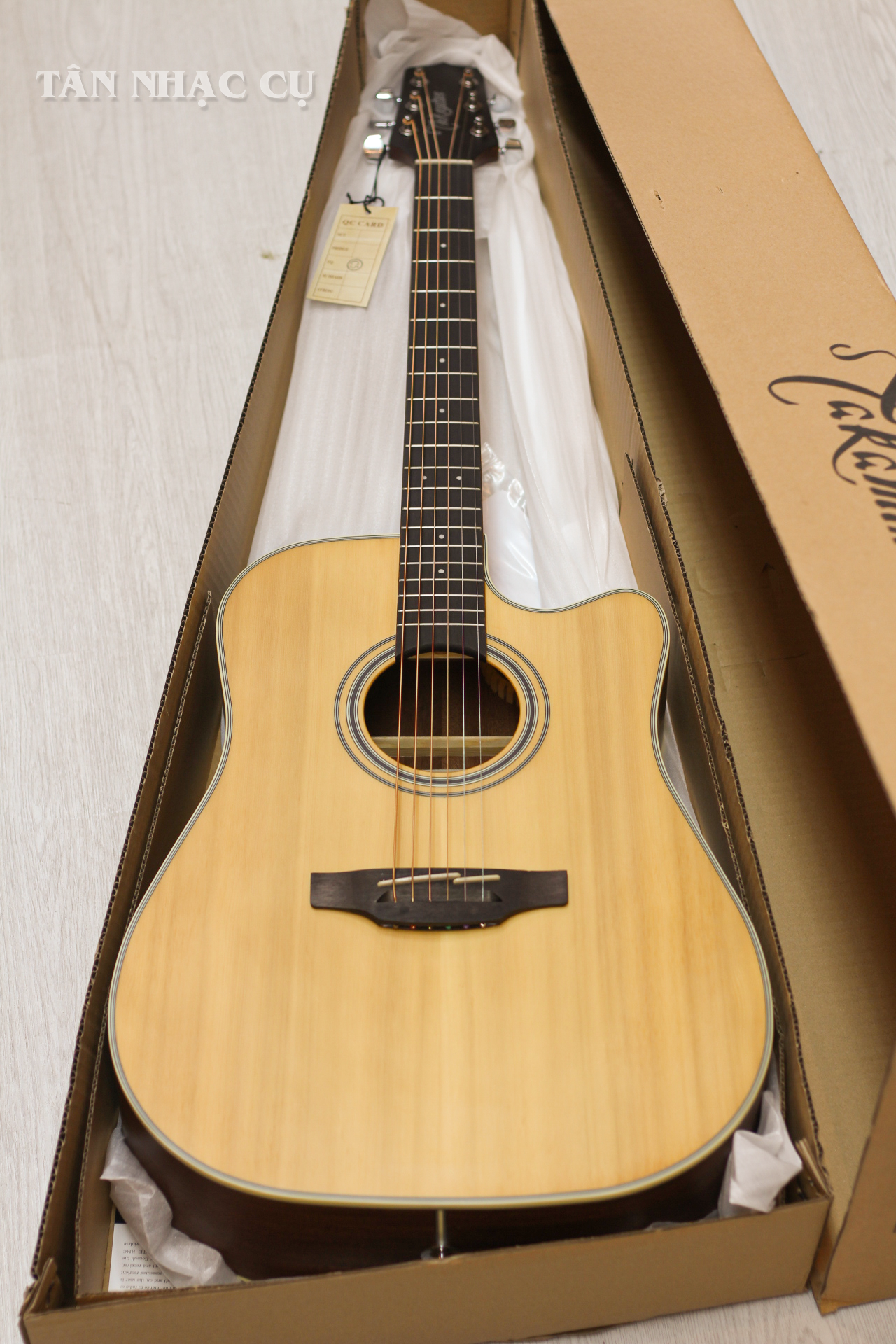 Đàn Guitar Acoustic Takamine GD20-NS, Natural