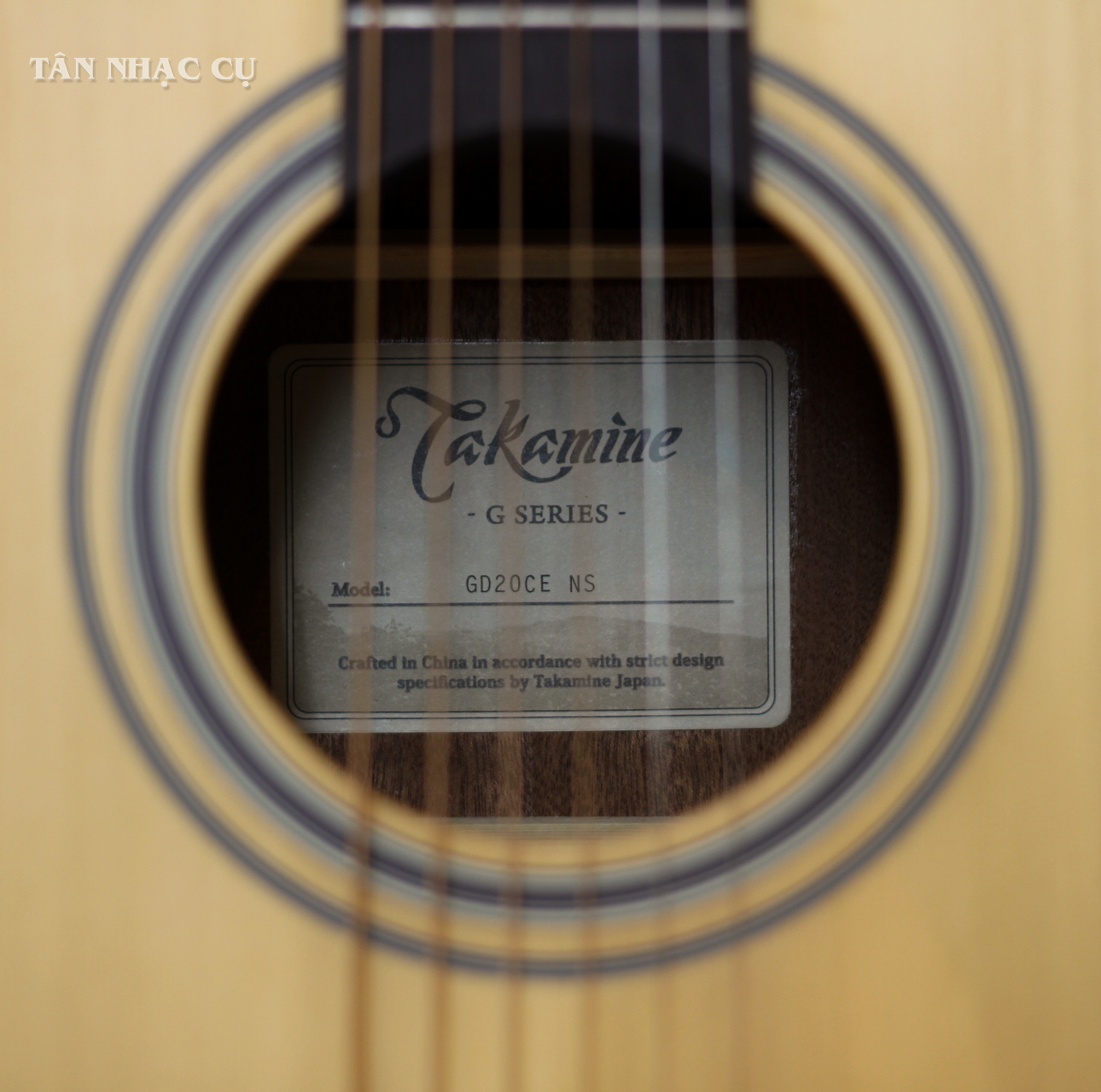 Đàn Guitar Acoustic Takamine GD20-NS, Natural