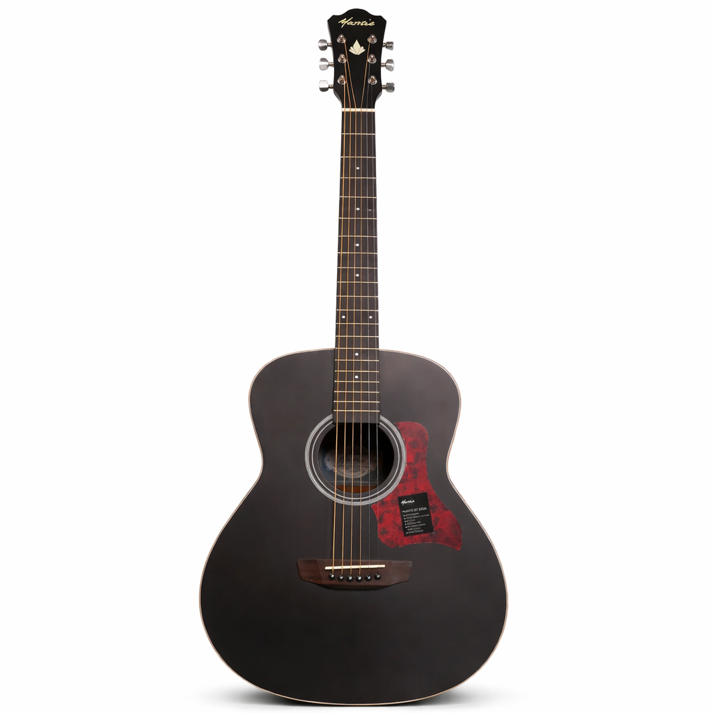 Đàn Guitar Acoustic Mantic BG1BK, Black w/Bag_TNC