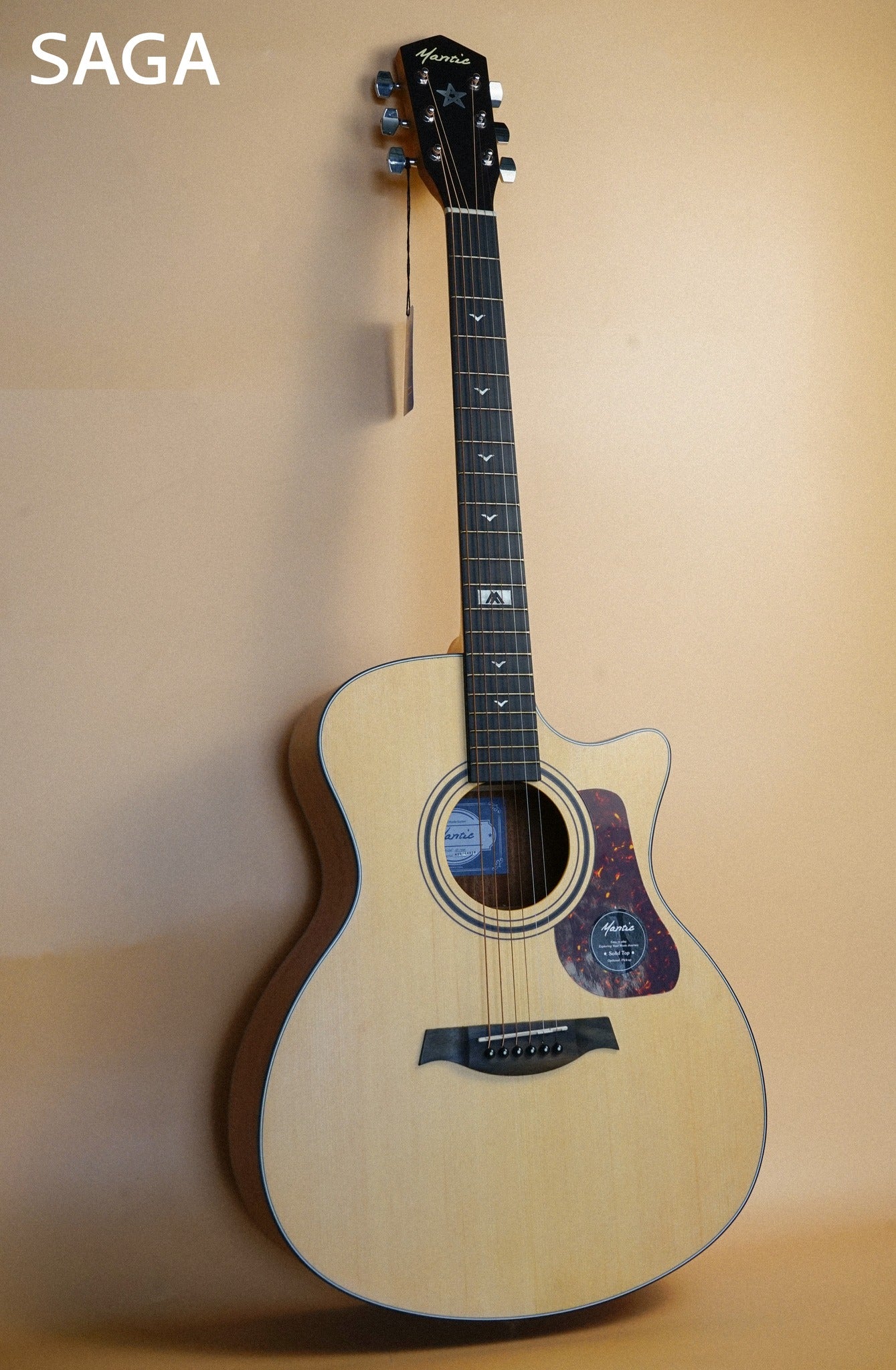 Đàn Guitar Acoustic Mantic GT10GC
