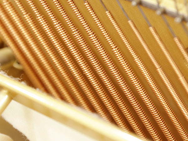 Đàn Piano Cơ Upright Wendl & Lung U118 White