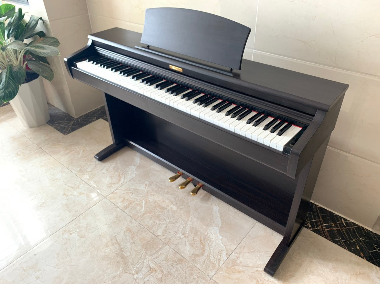 Đàn Piano Điện Kawai CN21