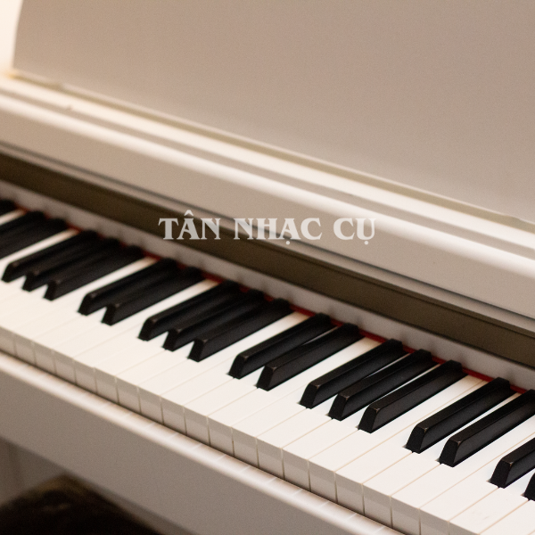 Đàn Piano Điện Kawai PN2 