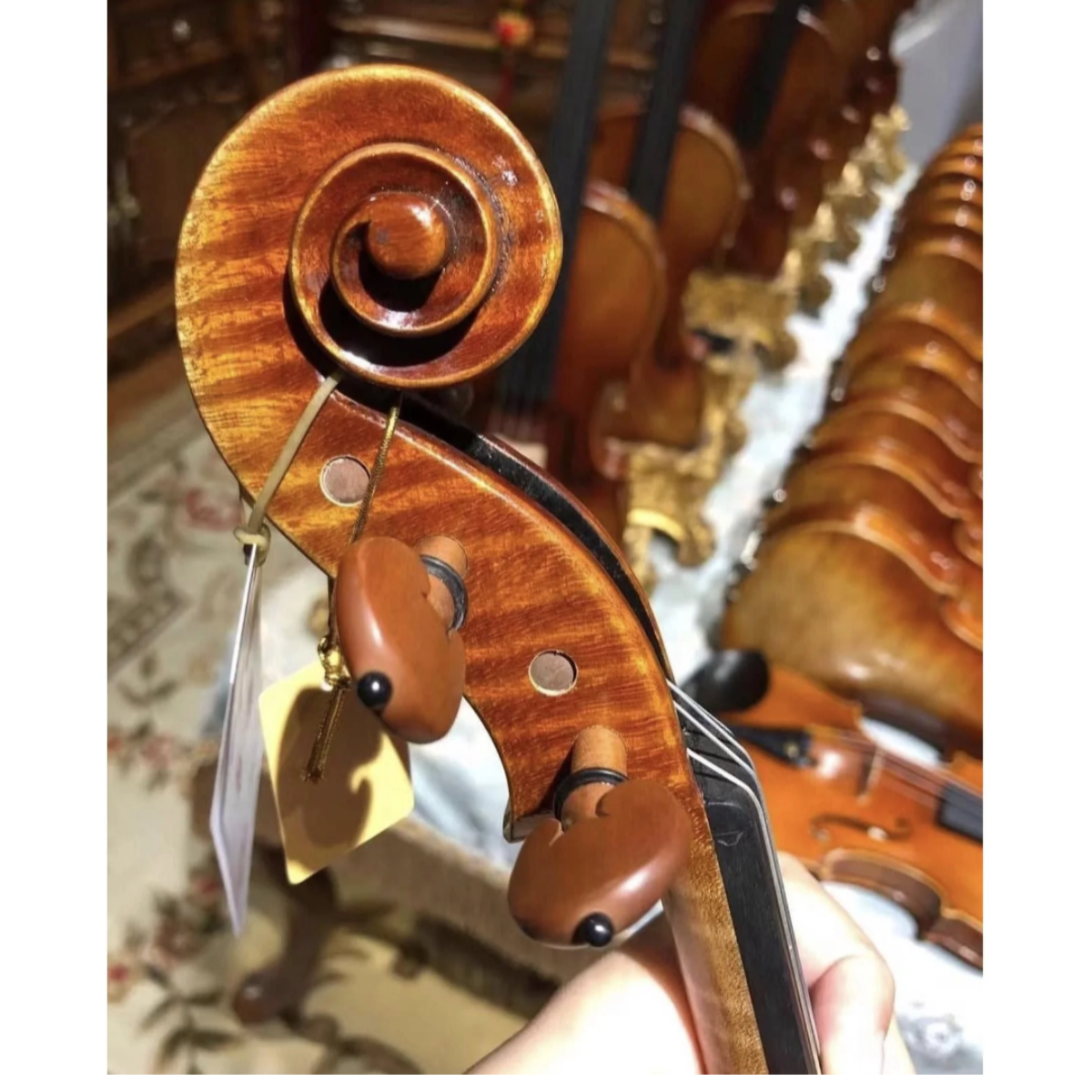 Đàn Violin Scott Cao STV1000 