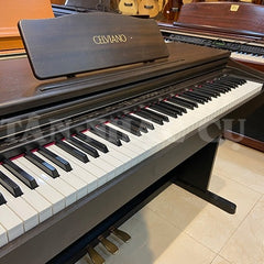 Đàn Piano Điện Casio AP20 