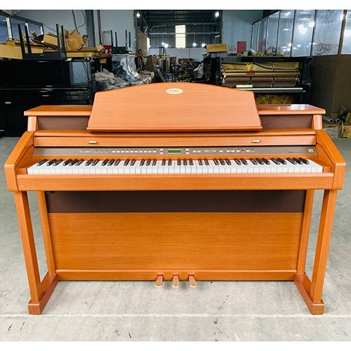 Đàn Piano Điện Kawai PW9 