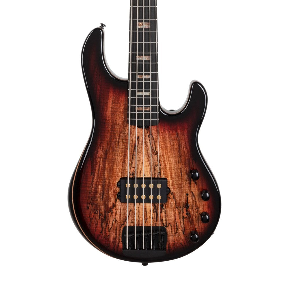 Đàn Guitar Bass Ernie Ball Music Man StingRay Special 35th Anniversary 5-string, Spalted Sunburst