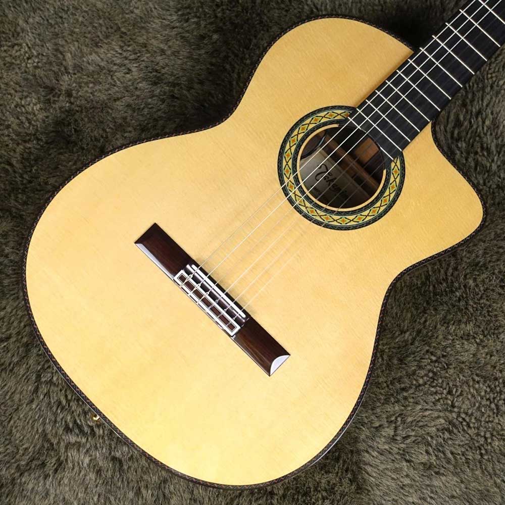 Đàn Guitar Classic Takamine DMP370NC