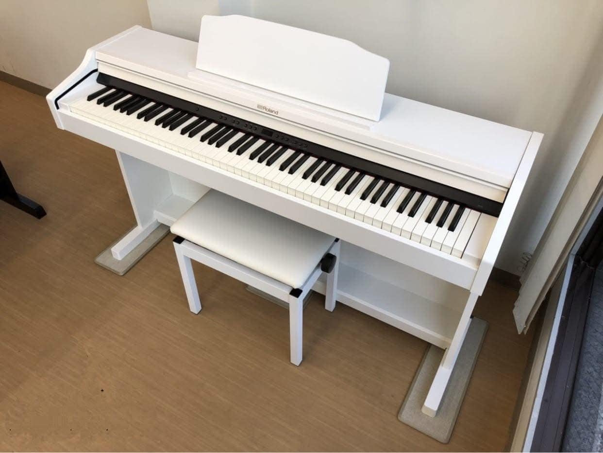 roland rp501 white
