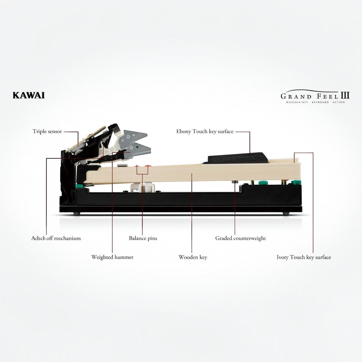 Cấu tạo bàn phím gỗ Grand Feel III của đàn piano điện TÂN NHẠC CỤ với các chi tiết kỹ thuật chuyên nghiệp