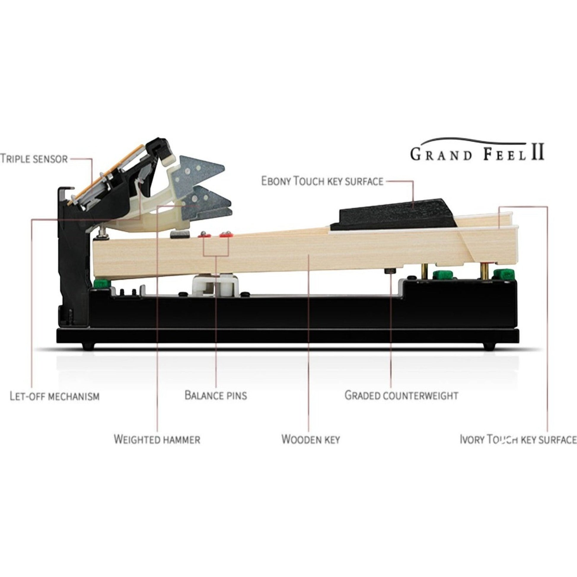 Cấu tạo bàn phím gỗ Grand Feel II trên đàn piano điện TÂN NHẠC CỤ với các chi tiết búa, cảm biến và bề mặt phím
