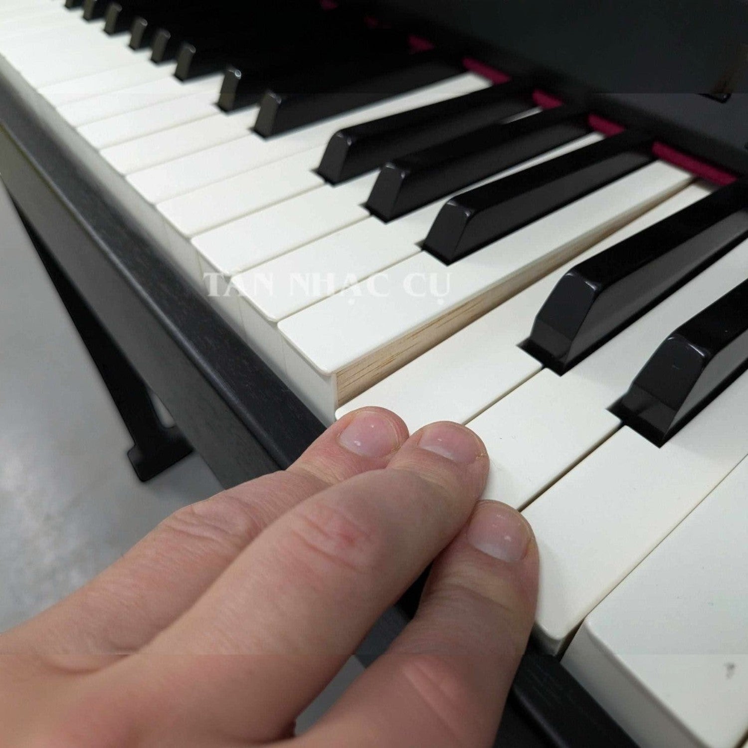 Bàn phím gỗ lai PHA-50 trên đàn piano điện Roland HP605 tại TÂN NHẠC CỤ với bề mặt phím giả ngà và gỗ mun cao cấp