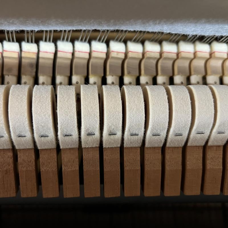 Bộ búa đàn piano cơ Diapason D66W tại TÂN NHẠC CỤ với nỉ len tự nhiên chất lượng cao