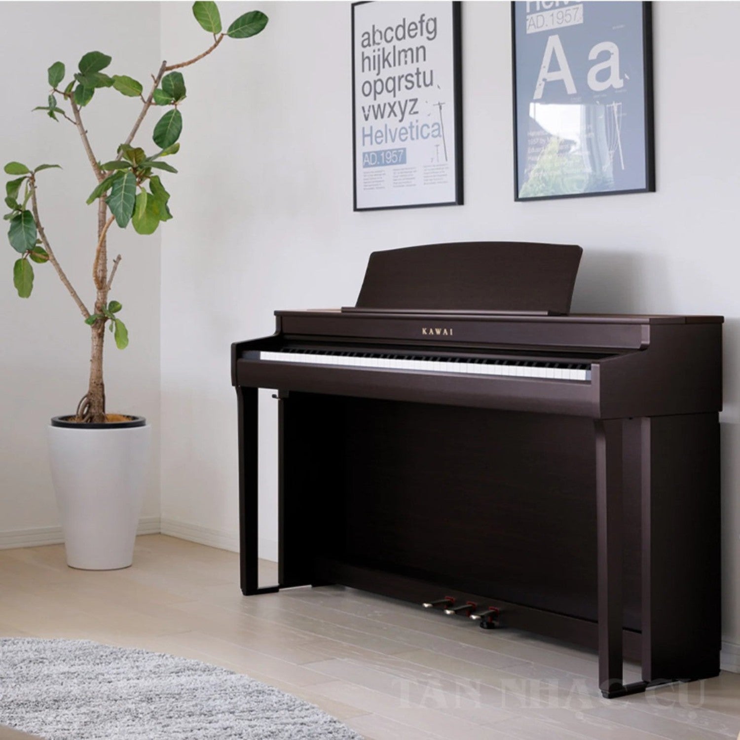 Đàn piano điện Kawai CN301 màu gỗ tối sang trọng tại showroom TÂN NHẠC CỤ