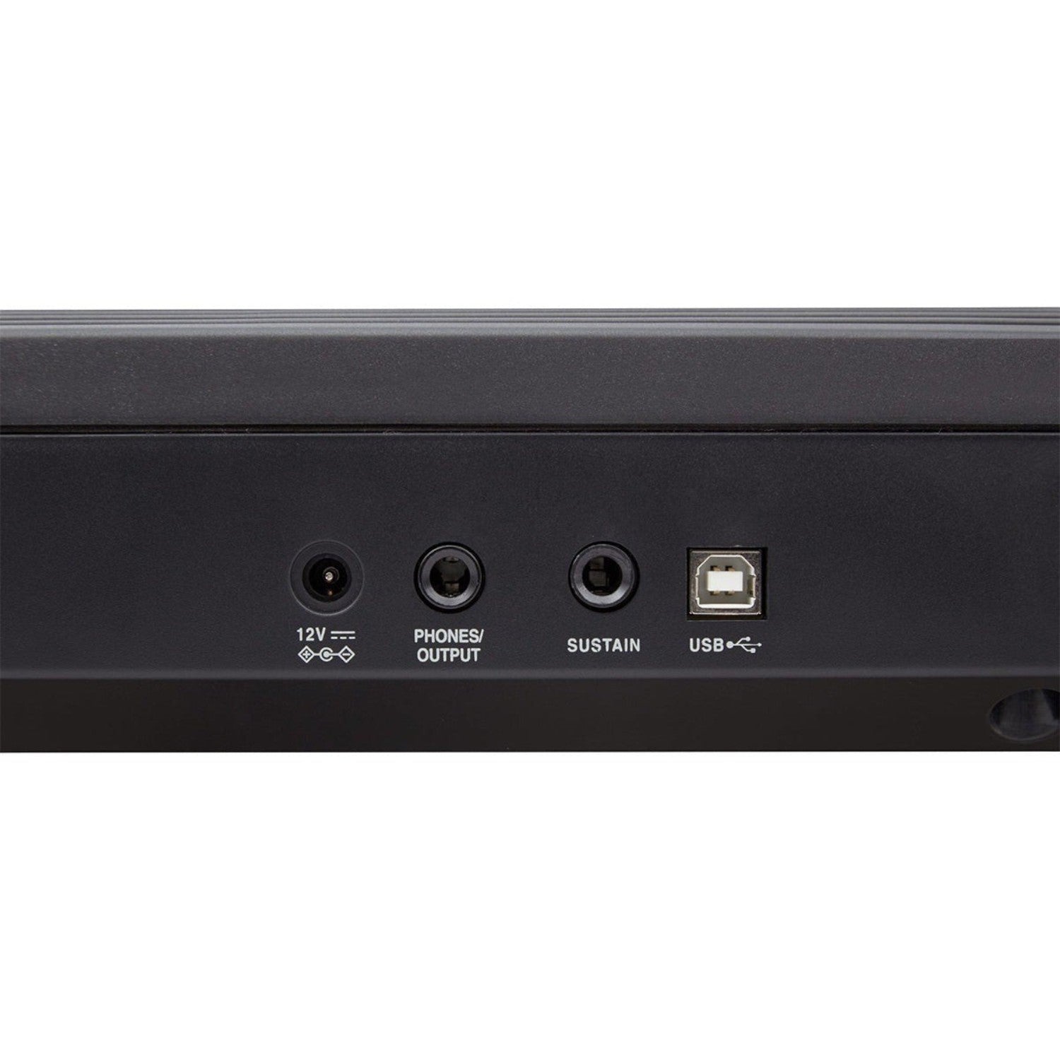 Bảng cổng kết nối phía sau đàn piano điện TÂN NHẠC CỤ Roland GO:88 gồm nguồn, tai nghe, pedal và USB