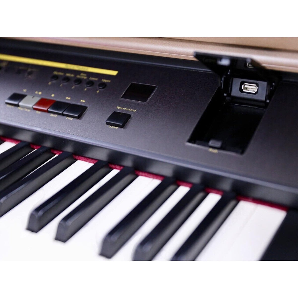 Bảng điều khiển và bàn phím đàn piano điện Roland KR107 tại Tân Nhạc Cụ với cổng kết nối USB tiện lợi