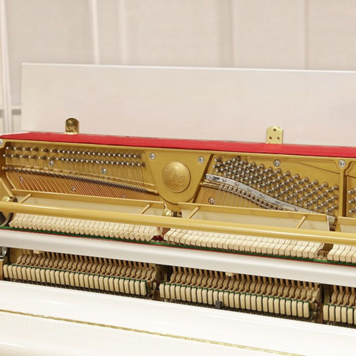 Bộ máy đàn piano cơ Wendl & Lung U118 màu trắng với khung gang và búa đàn chi tiết tại TÂN NHẠC CỤ