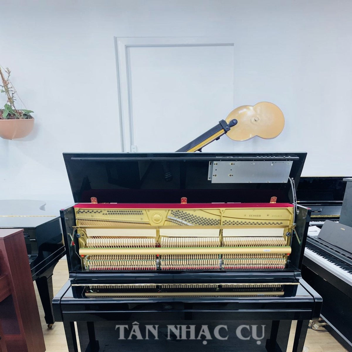 Đàn piano cơ Yamaha SX100RBL màu đen bóng với hệ thống tự chơi tại TÂN NHẠC CỤ, lộ bộ cơ và khung gang bên trong