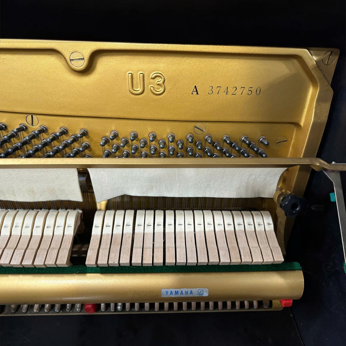 Khung gang vàng bên trong đàn piano cơ TÂN NHẠC CỤ Yamaha U3A với số serial 3742750 rõ nét