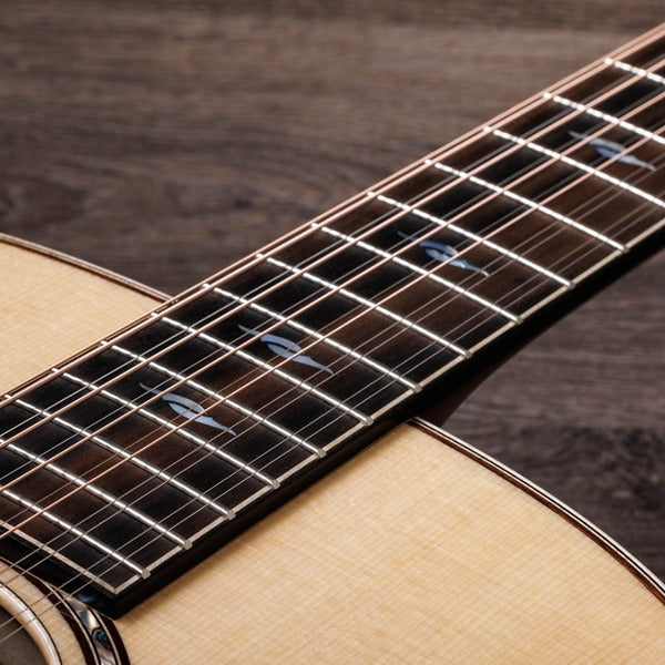 Taylor 858E LTD Acoustic