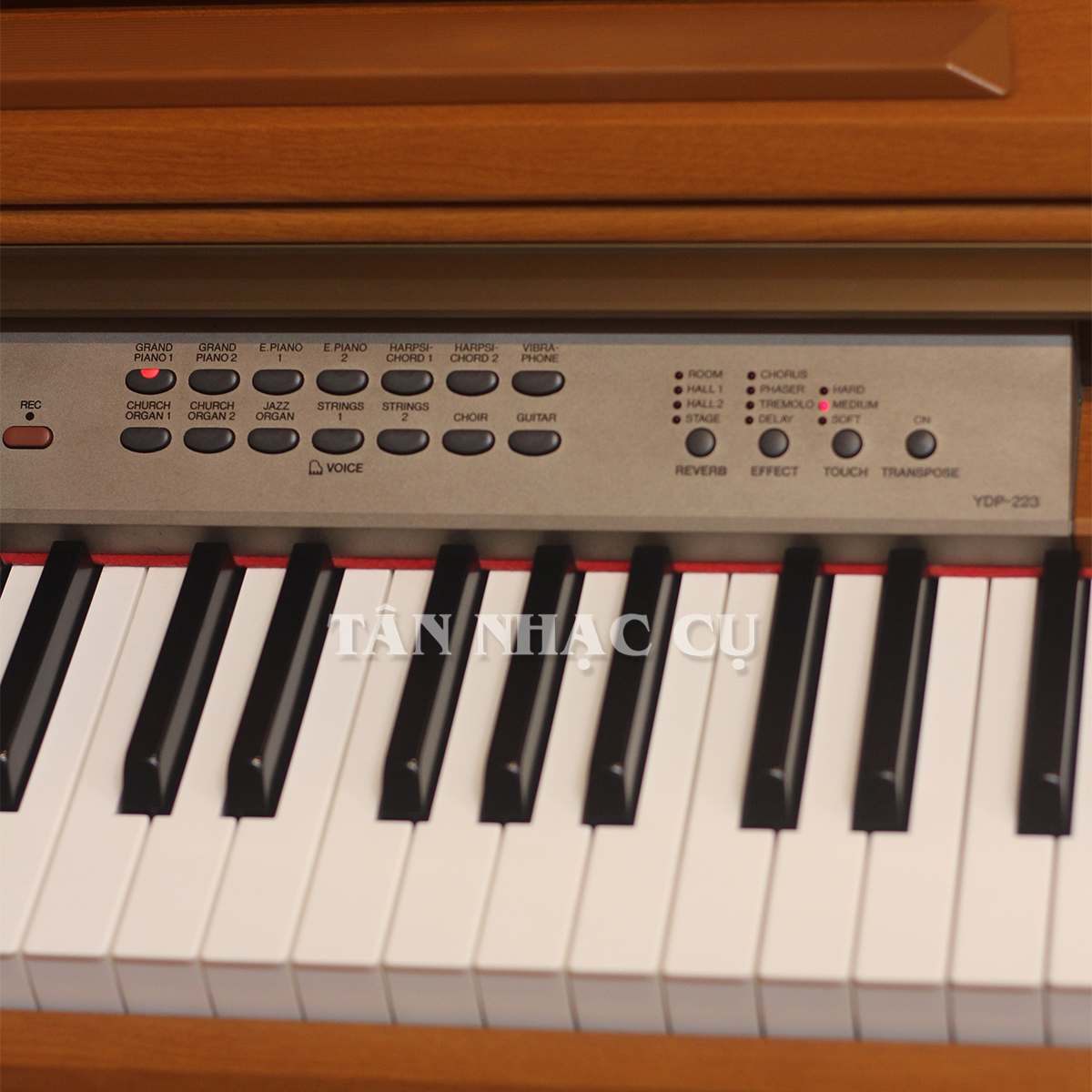 Đàn Piano Điện Yamaha YDP223