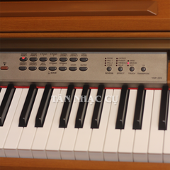 Đàn Piano Điện Yamaha YDP223