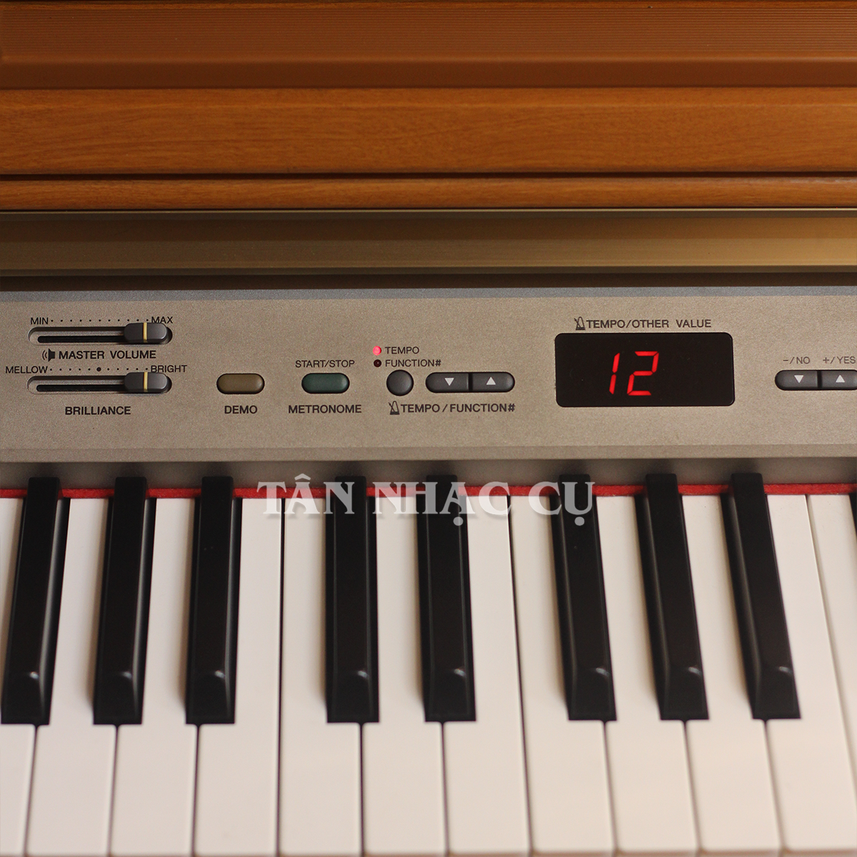 Đàn Piano Điện Yamaha YDP223