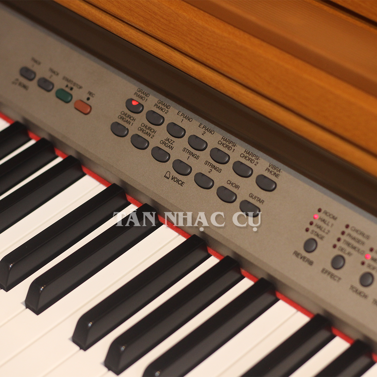 Đàn Piano Điện Yamaha YDP223