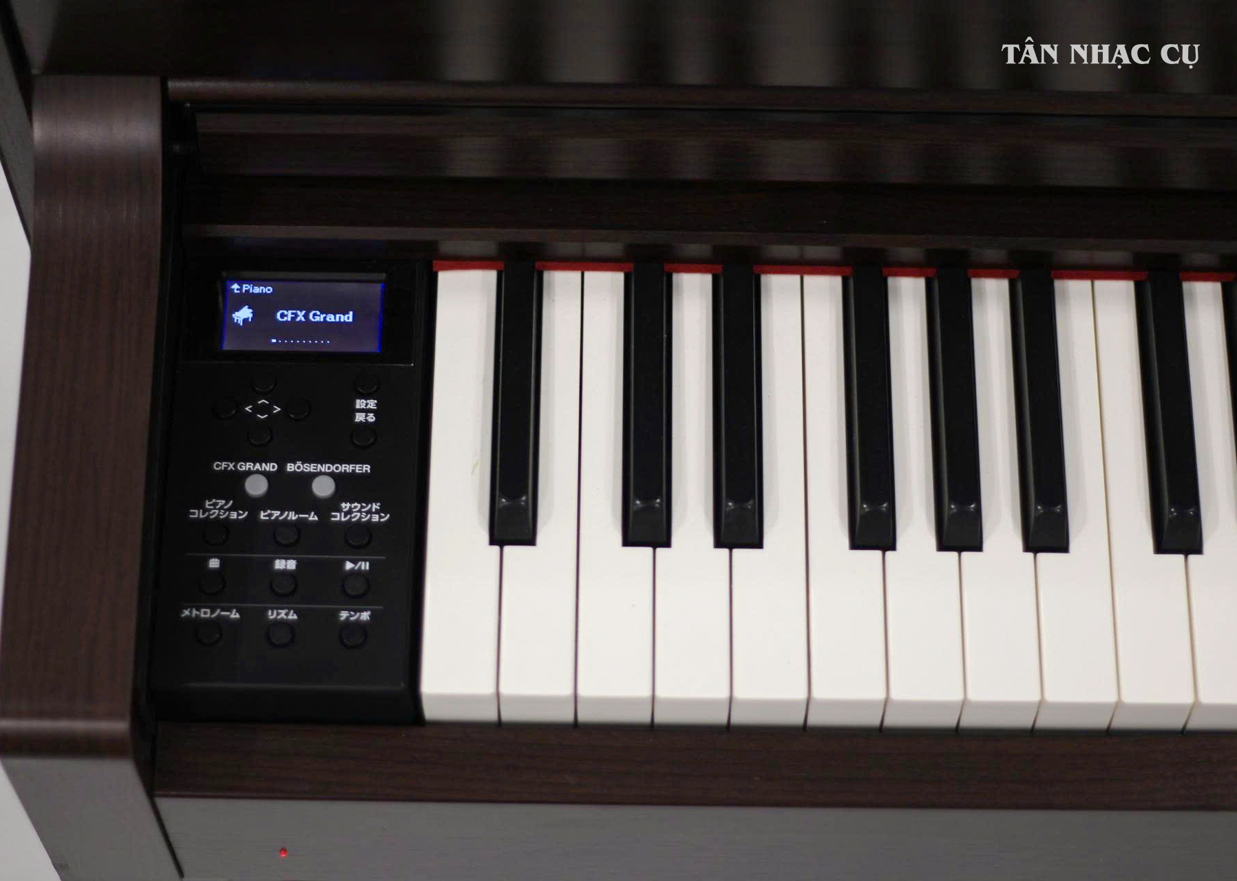 Đàn Piano Điện Yamaha SCLP6350