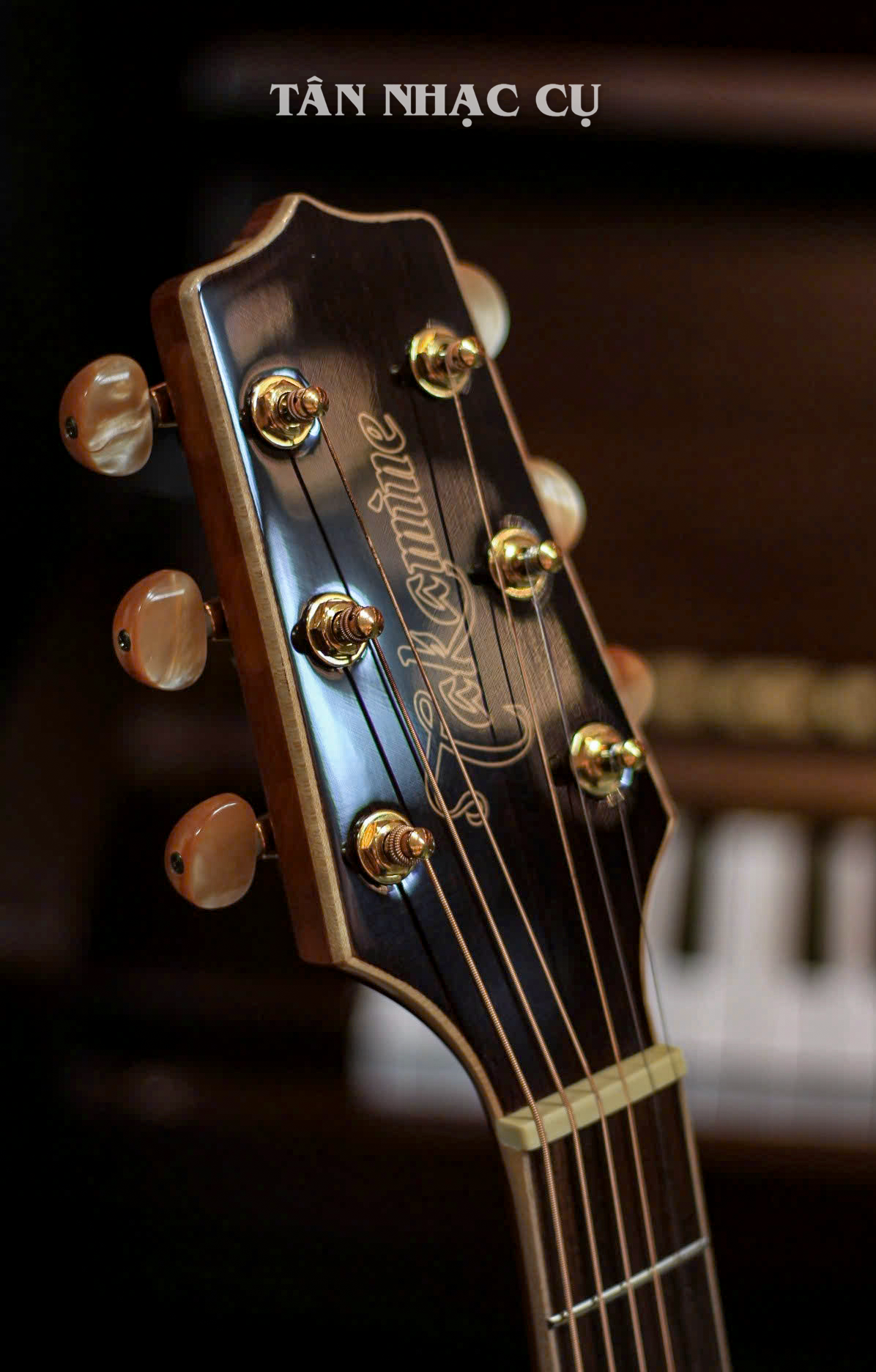 Đàn Guitar Acoustic Takamine GD71CE, Natural