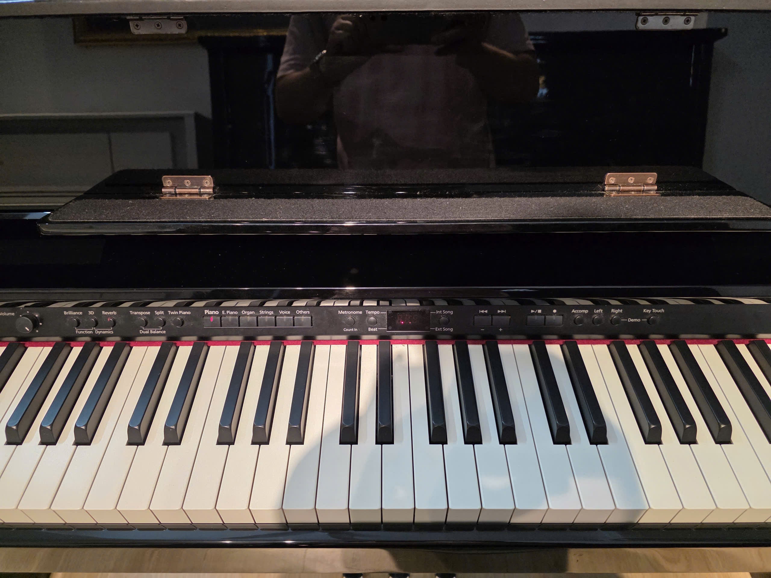 Đàn Piano Điện Roland DP990R PE