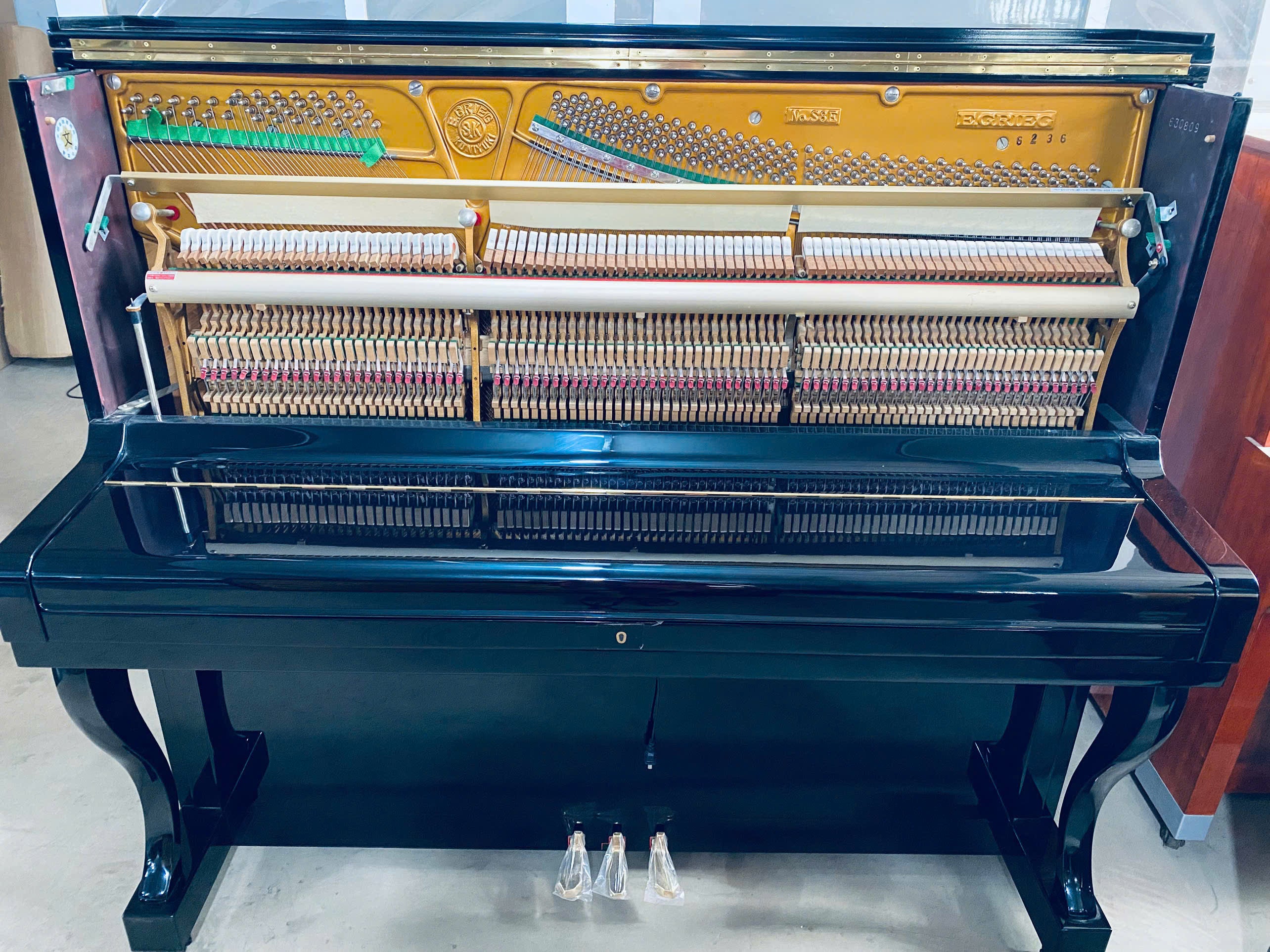 Đàn Piano Cơ EGRIEG S8E