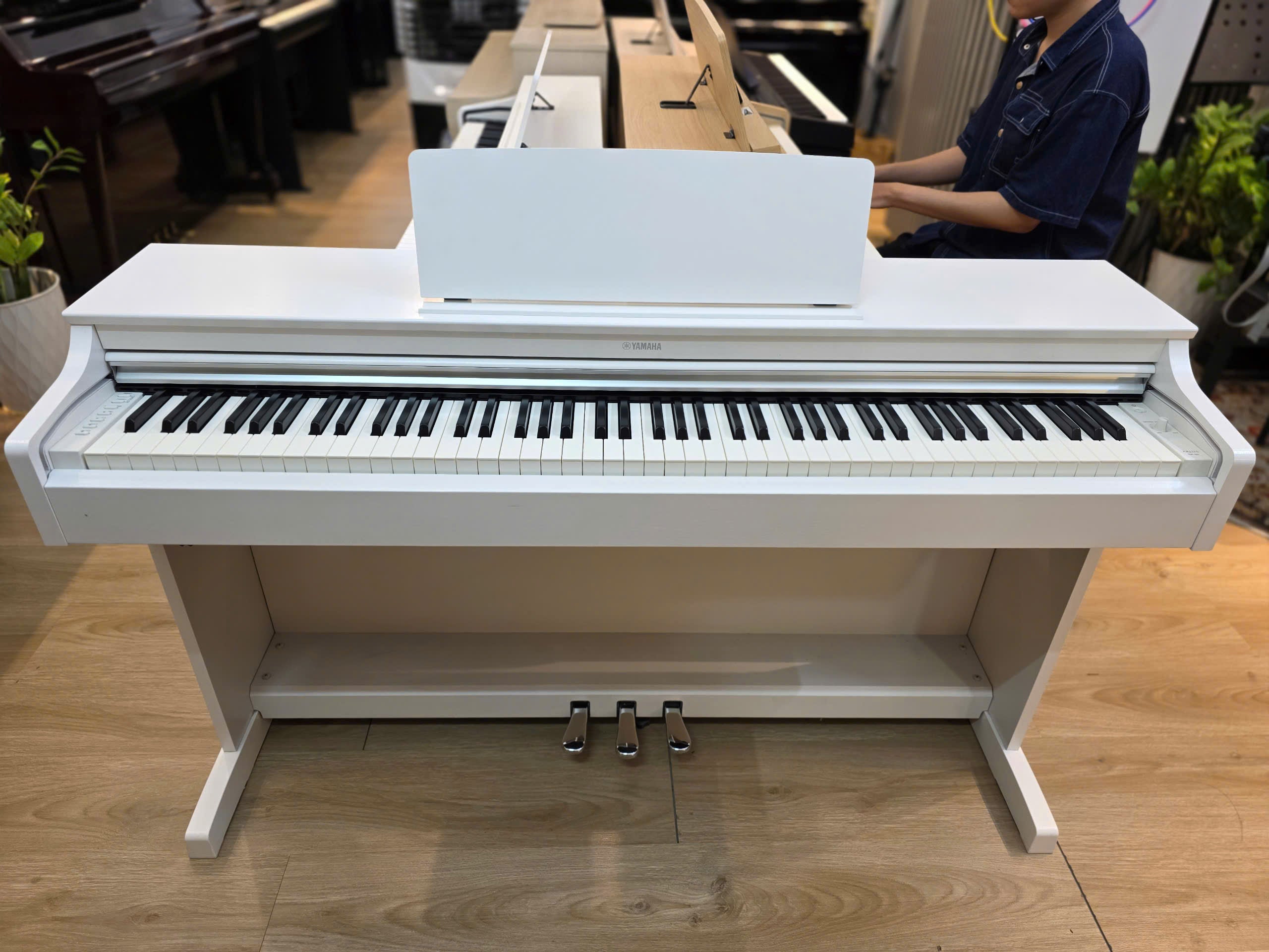 Đàn Piano Điện Yamaha YDP163