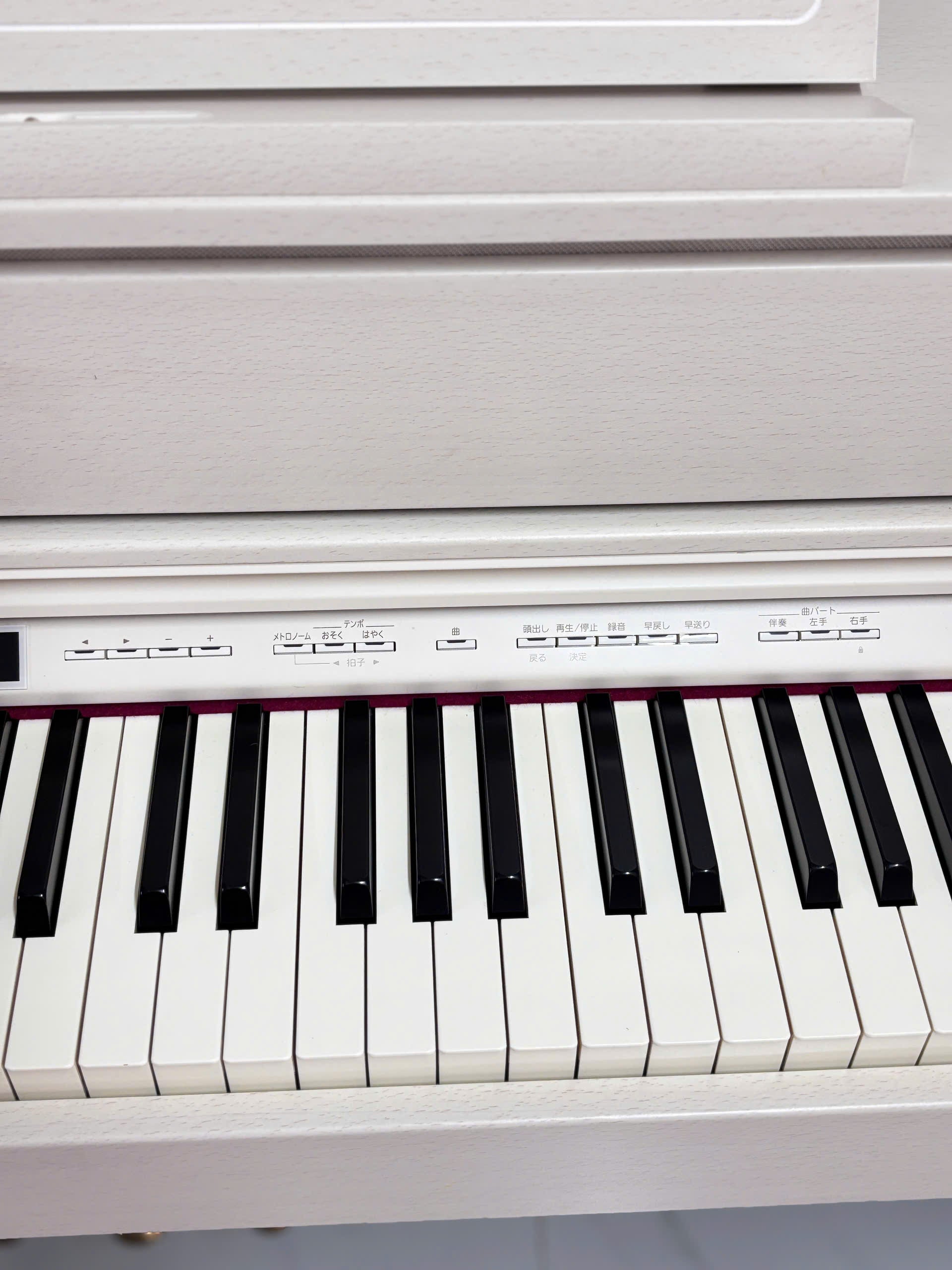 Đàn Piano Điện Roland HP605