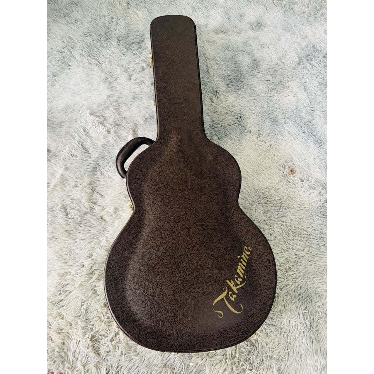 Đàn Guitar Acoustic Takamine 500 CUSTOM