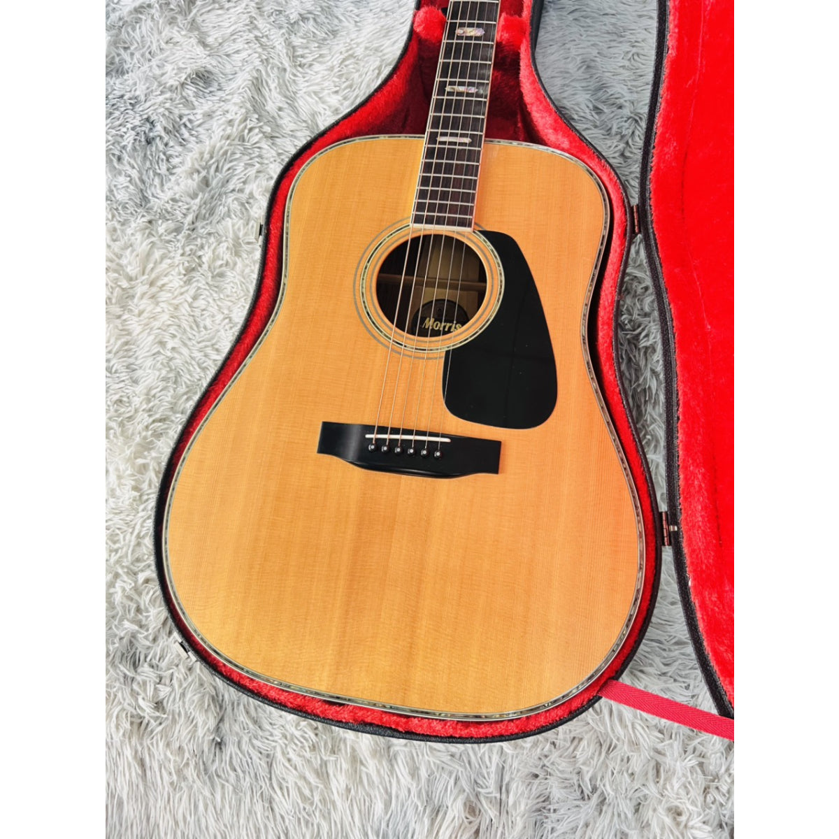 Đàn Guitar Acoustic Morris TF801