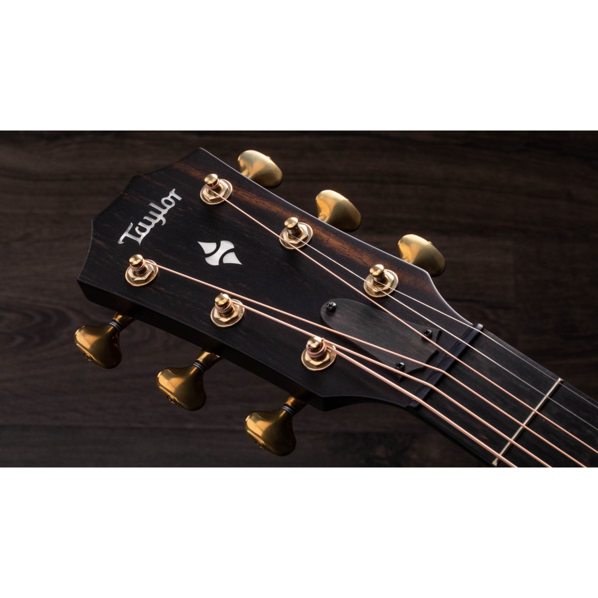 Taylor 324CE Builder's Edition