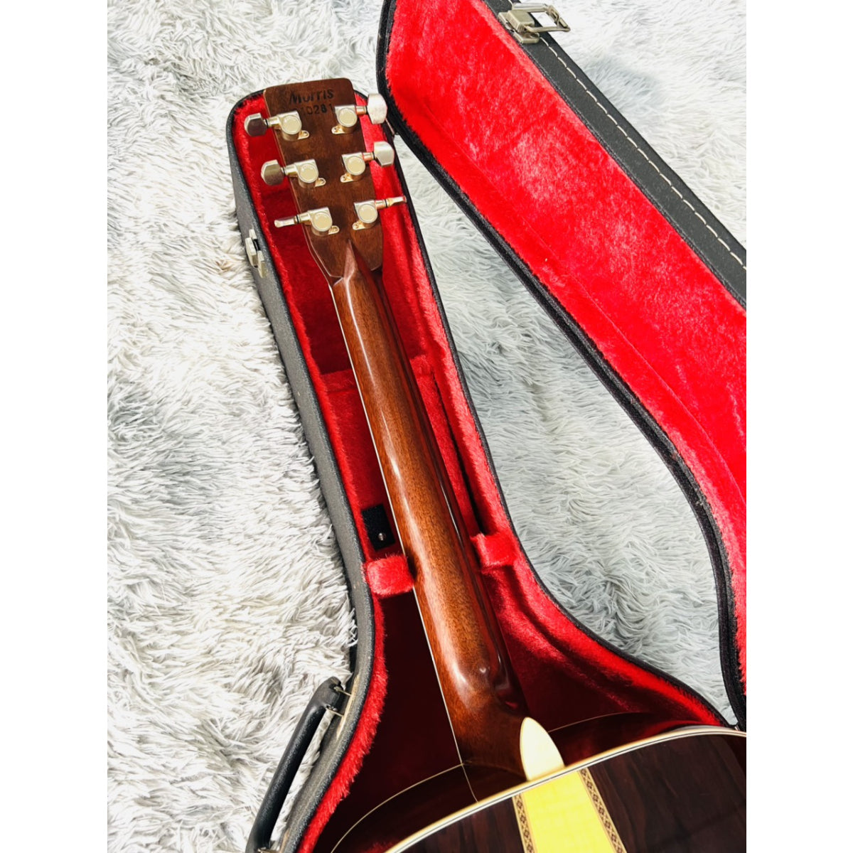 Đàn Guitar Acoustic Morris TF801