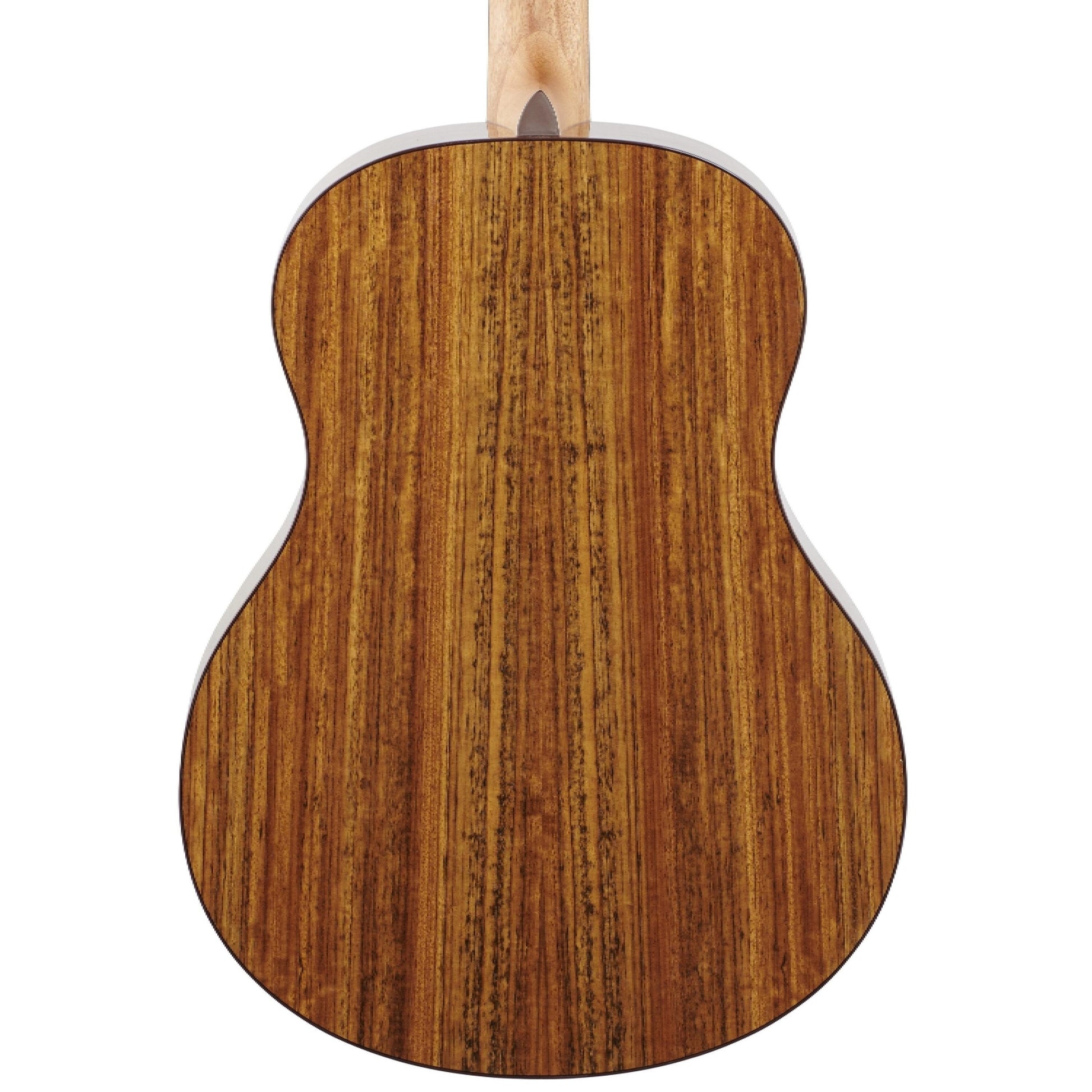 Đàn Guitar Washburn Bella Tono Novo S9 Acoustic, Gloss Charcoal Burst - Việt Music