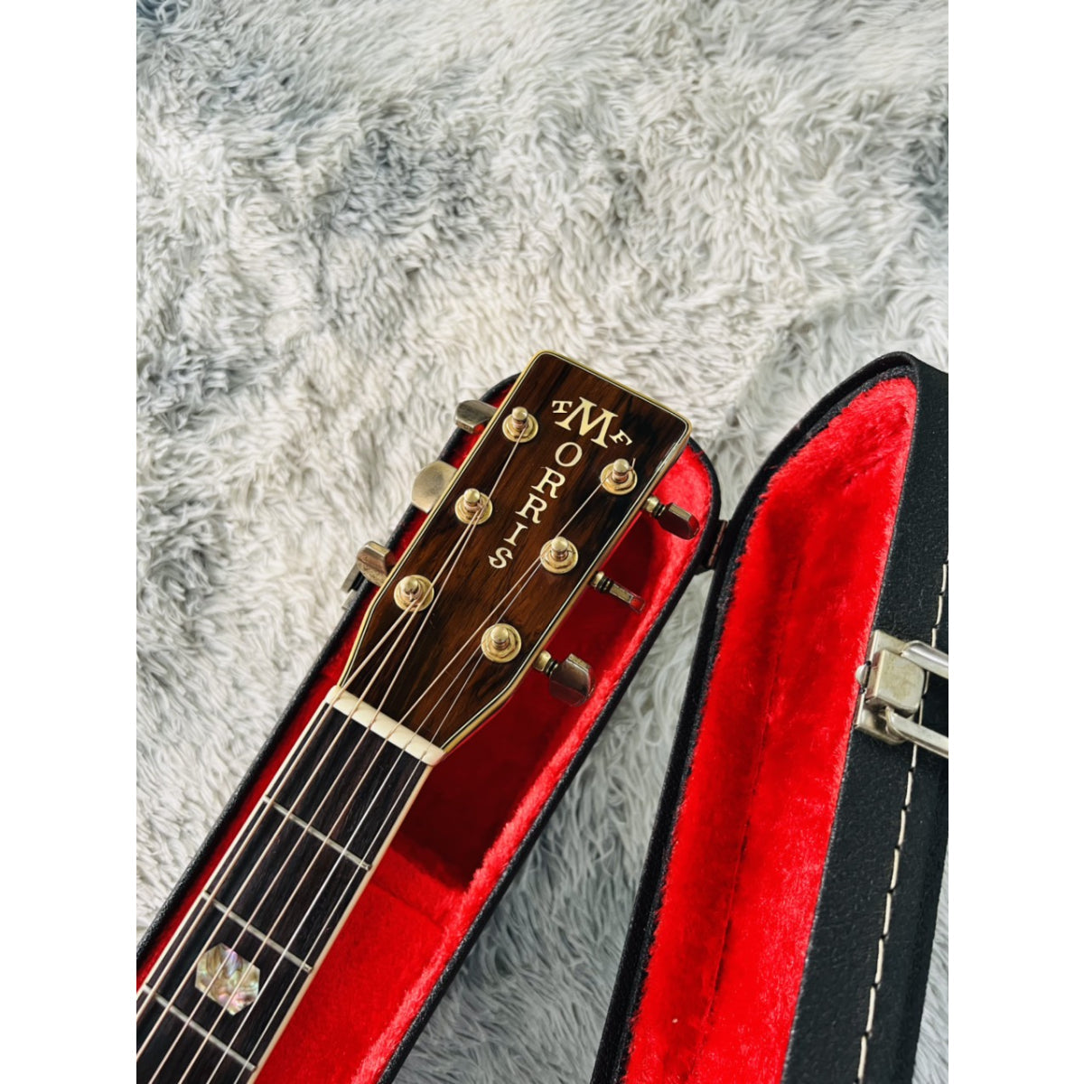 Đàn Guitar Acoustic Morris TF801