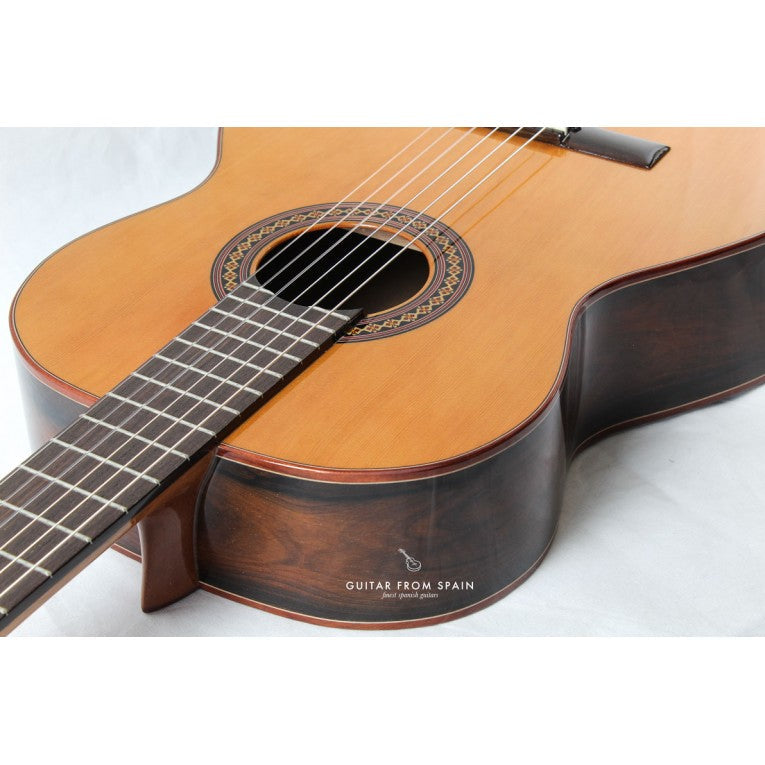 Đàn Guitar Classic Alhambra Iberia Ziricote
