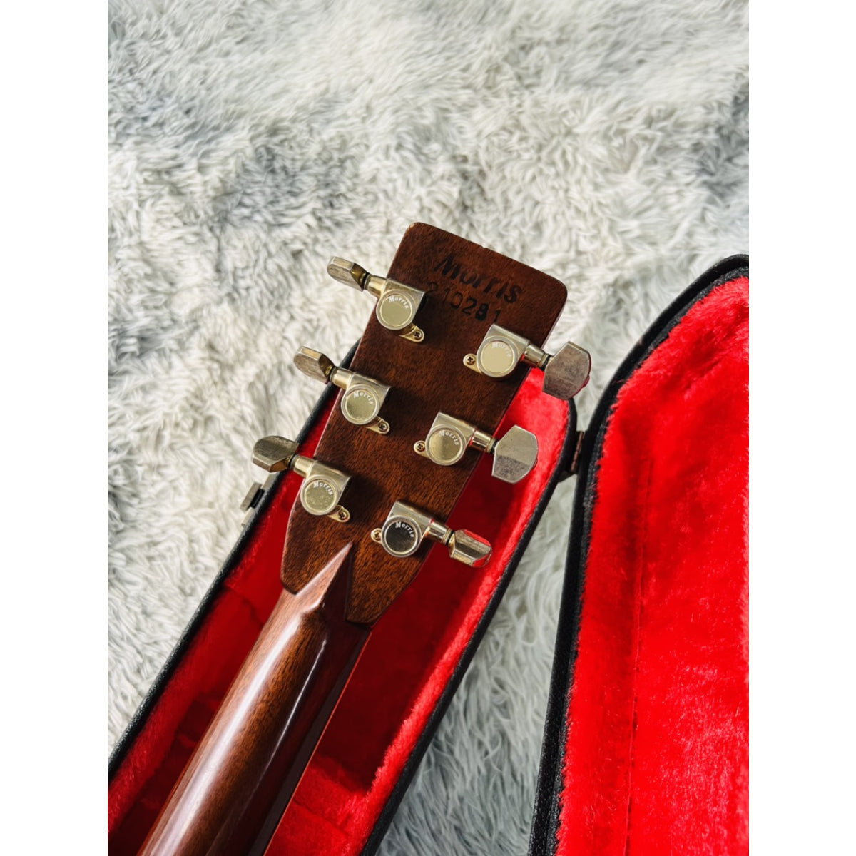 Đàn Guitar Acoustic Morris TF801