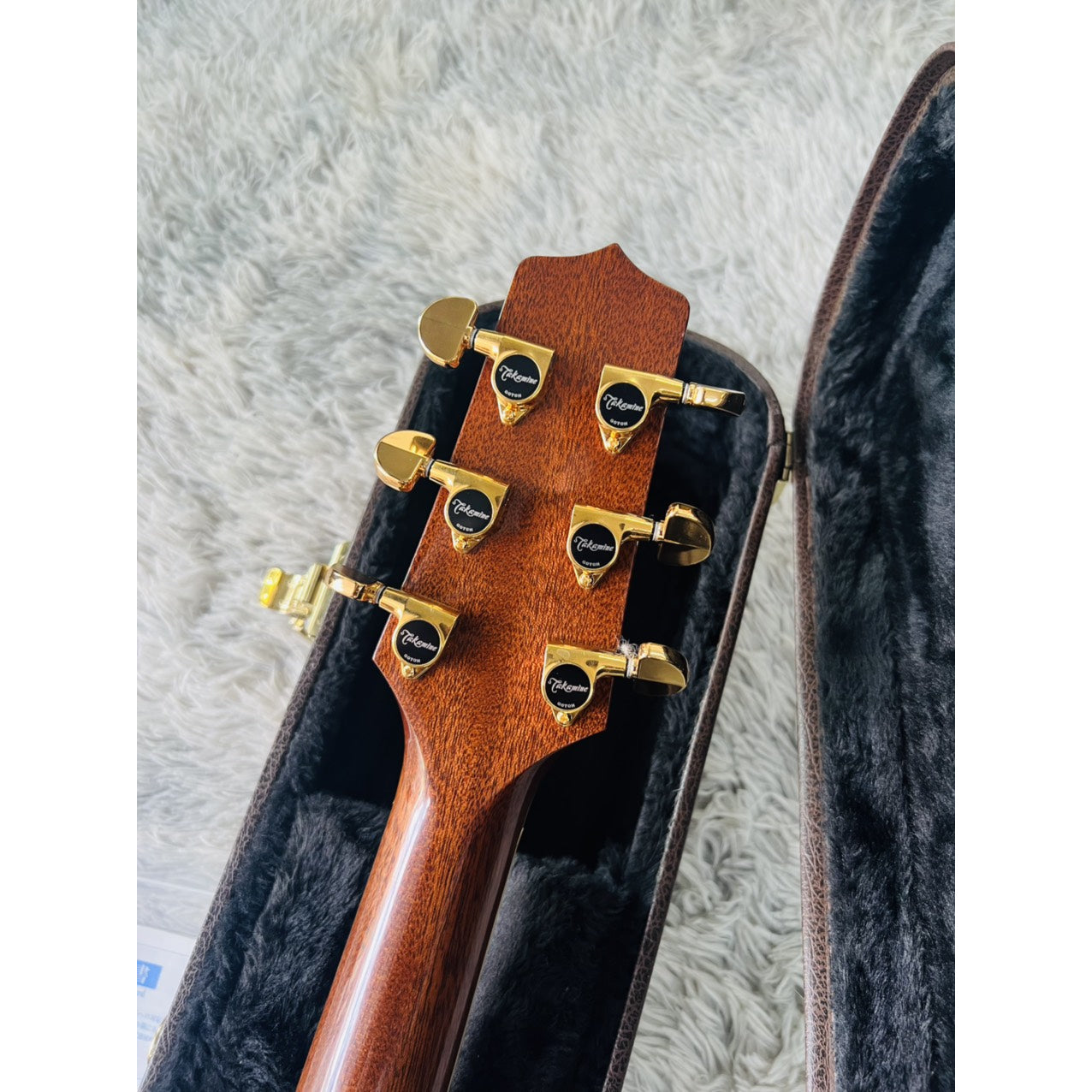Đàn Guitar Acoustic Takamine 500 CUSTOM