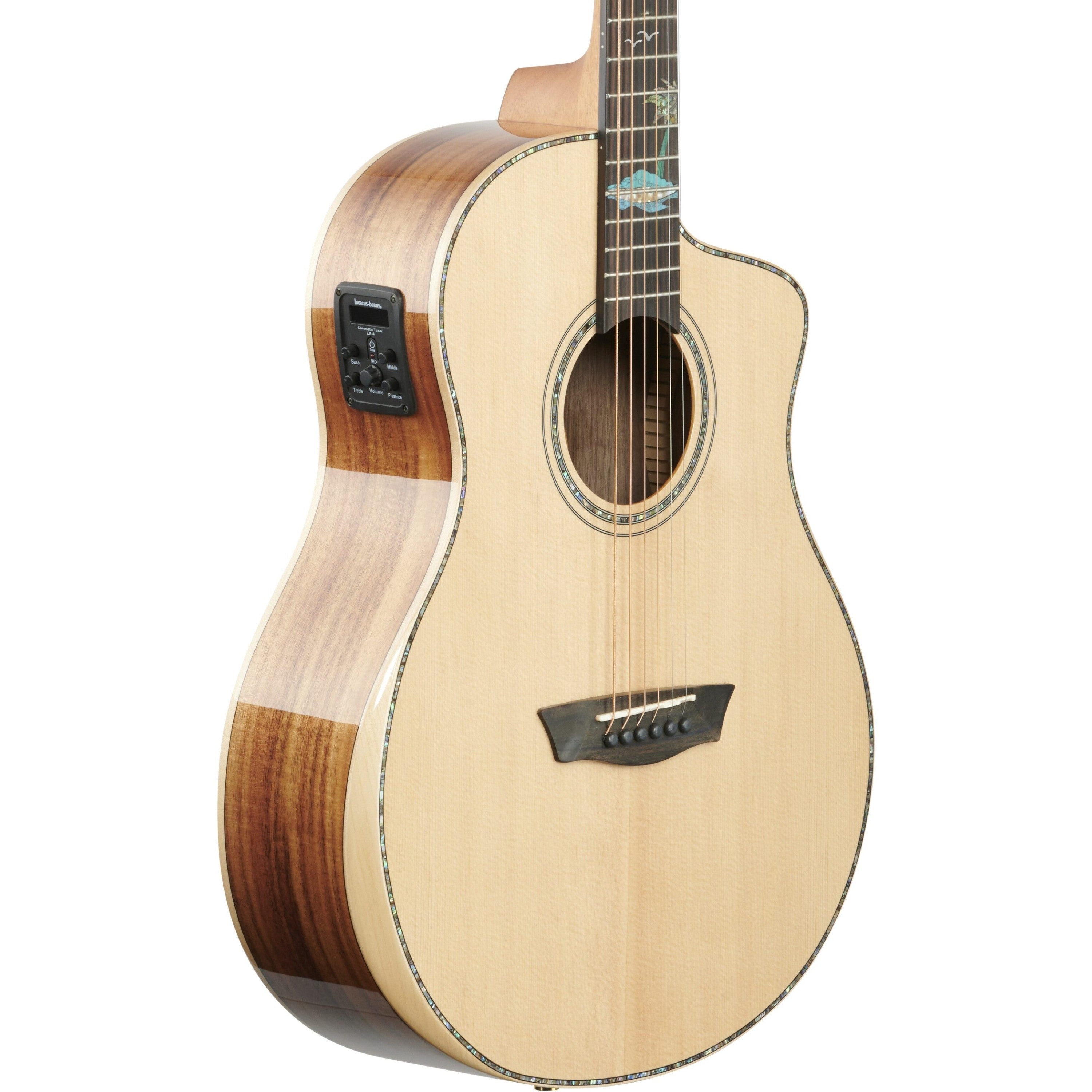 Washburn Bella Tono Allure SC56S 